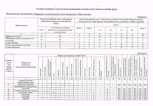 Специальная оценка условий труда. Лист 2.